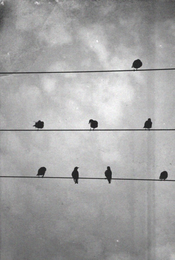 Living in darkness ..