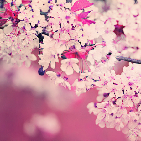 picsandquotes:  Want your dash to be awesome? follow inspirational-pictures.com now!