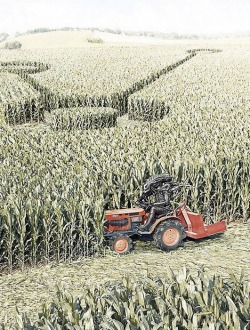 niknak79:  How crop circles are made