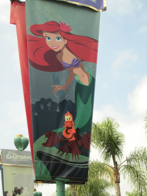 loveofdisney:Ariel Banner