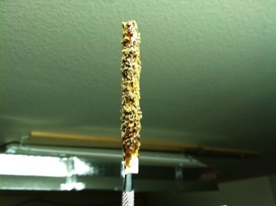 im-bam:  joint soaked in honey oil, rolled in keef, rolled in hash, then rolled into a swisher that was lined with hash oil and keef.