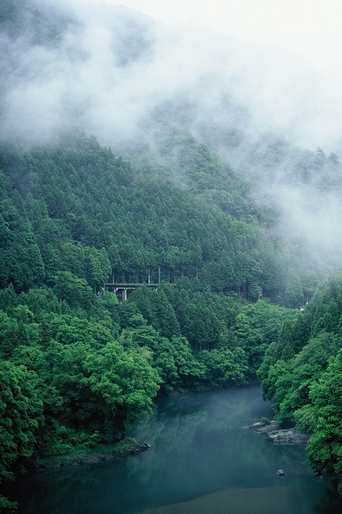 raises:  nature blog            