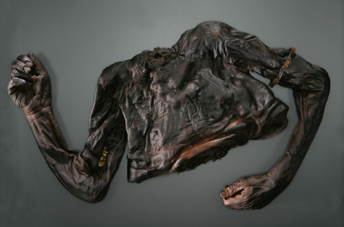 embodimentofdualism:Bog Bodies by Robert Clark, featured in National Geographic article Tales From t
