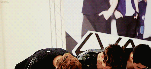 gayxo:  ♡ 