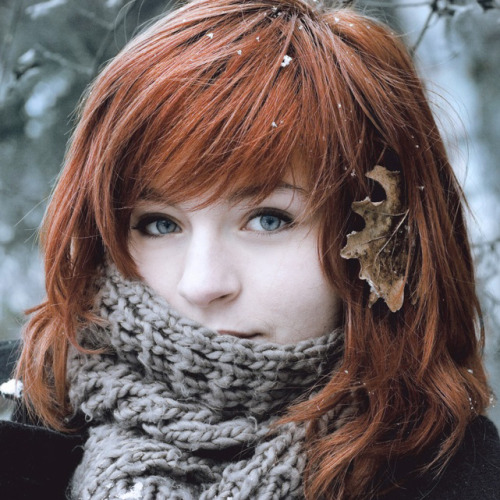 http://redbush.tumblr.com/post/26656542122