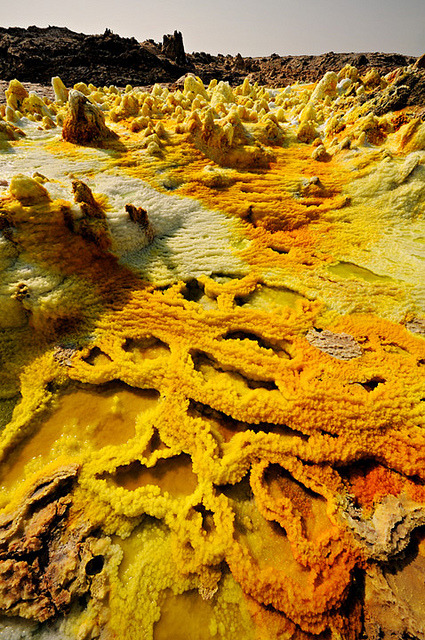 Mineral flowers - Dallol volcano by pbOOg on Flickr.