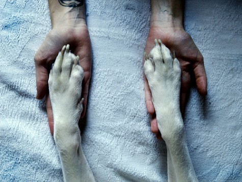Born to die