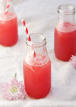 Gastrogirl:  Watermelon Lemonade Beer Cocktails. 