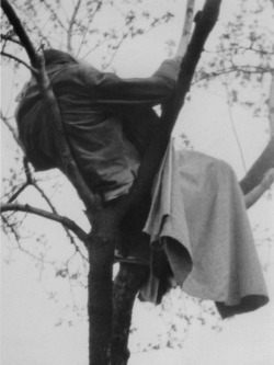 crematorie:  Sleeping in a tree, Prague, April 1975 by Petr Stembera.  “After three days and nights without sleep I spent the fourth night in a tree.”   