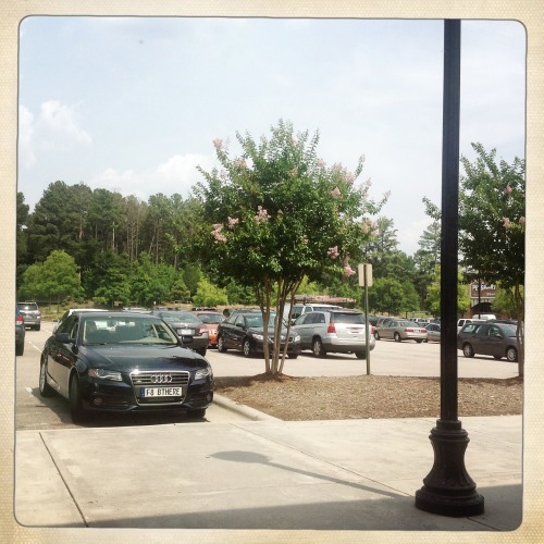 As I’m sitting in a coffeshop, contemplating my photographic career track- I look out the window, see a shiny Audi- w/the famous photo saying on its bumper. Irony! Jane Lens, Ina’s 1969 Film, No Flash, Taken with Hipstamatic