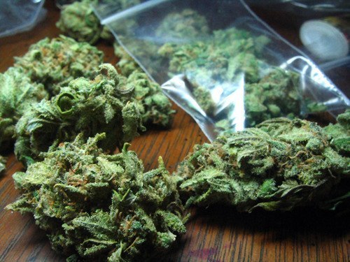 go-comatose-for-me-baby:  Follow me for weed on your dash daily!