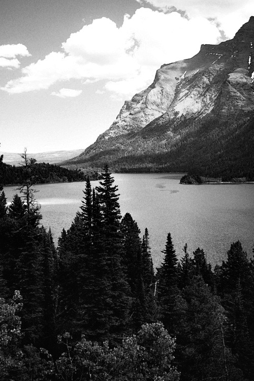 ibelongtomysir.tumblr.com/post/139034816702/