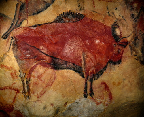 Pintura rupestre de un Bisonte del Paleolítico Medio. (Cuevas de Altamira)