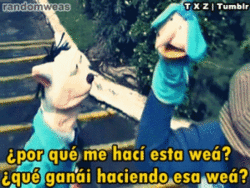 Vuelta por el universo