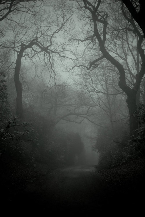 Something wicked this way comes...