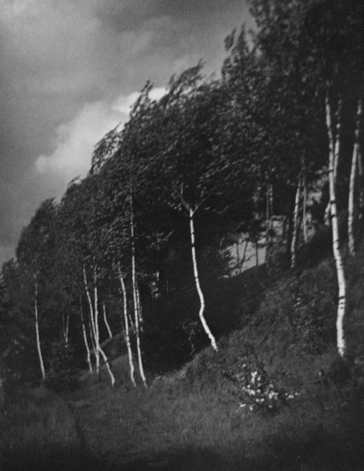 piribolygo:   Josef Sudek, the Wind, 1918-22  