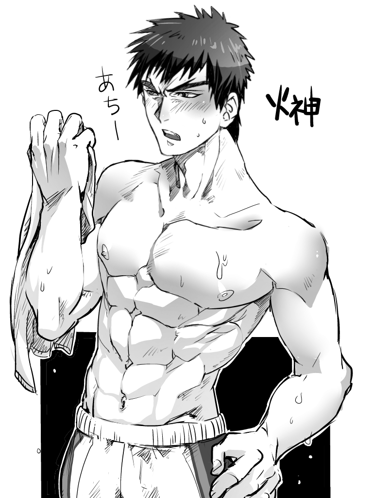 Bara-IVS