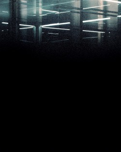 noten:  Cerruti A/W 12.13 