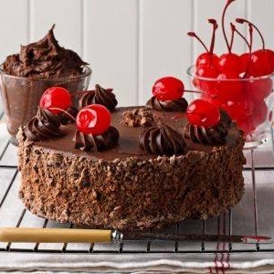 chronic-mastication:  Chocolate Gateau appreciation : 1 / 2 / 3 / 4 / 5 / 6 