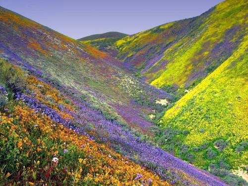 Valley of Flowers National ParkValley of Flowers National Park is an Indian national park, nestled