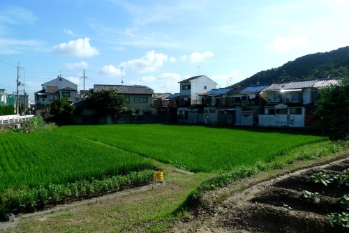 Yamashina-ku, the part Kyoto where I live. It is seperated to the city center by mountains, so it&rs