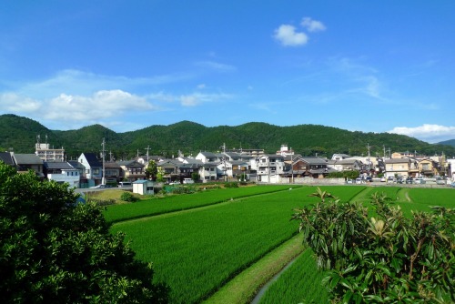 Yamashina-ku, the part Kyoto where I live. It is seperated to the city center by mountains, so it&rs