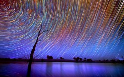 fyeahuniverse:  Star trails over the Australian Outback by photographer Lincoln Harrison 