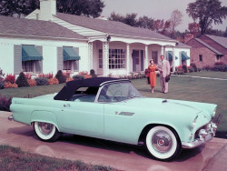 daughterofhungryghosts:  1955 Ford Thunderbird.  I WANT IT I WANT IT I WANT IT I WANT IT I WANT IT