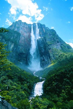 f-l-e-u-r-d-e-l-y-s:  Falls Angel Falls, Venezuela - Wonders who deserve …- Located in the Canaima National Park, Venezuela, Angel Falls falls are only accessible by air. 