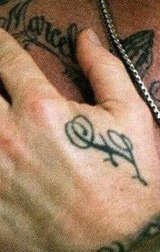 hetfield-belladonna:  I want that M 81!