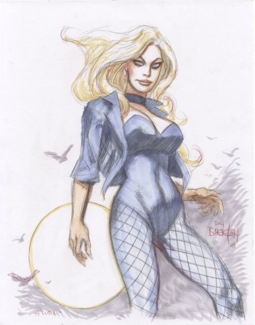 comicknockouts:  Black Canary by Dan Brereton porn pictures