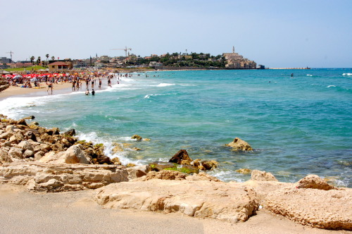 تاةاناour jaffa.