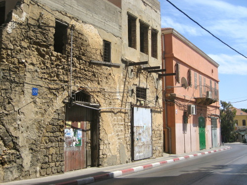 تاةاناour jaffa.