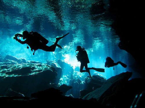 Divers exploring Garden of Eden Cenote, Mayan Riviera, Mexico (by viiny).