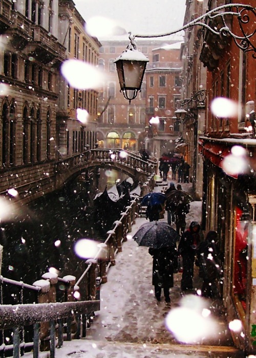 This was taken during a 2005 visit to Venice. It hadn’t snowed there in 15 years. It was beaut