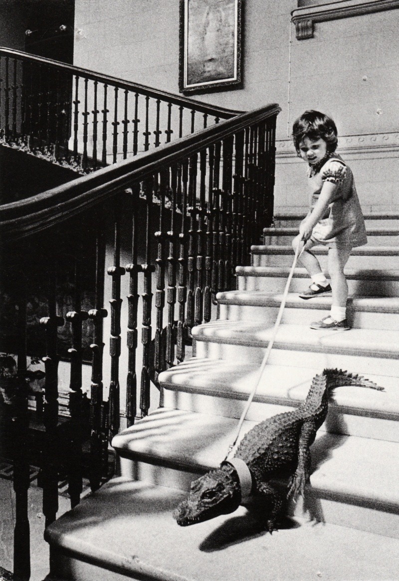 m3zzaluna:  descending a staircase in a house once lived in by britain’s naval