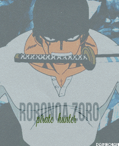 Gotta Love One Piece