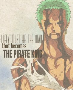 Gotta Love One Piece