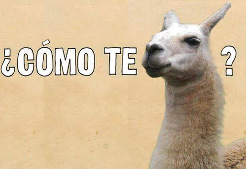 tastefullyoffensive:  [via]