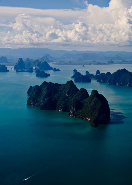 t-r-o-p-i-c-air: Nature and Culture