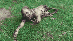 Zombie famoso de The Walking Dead