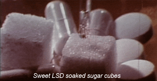 ireblog4weed:  “…look around and what do You see, the Youth of America on LSD”
