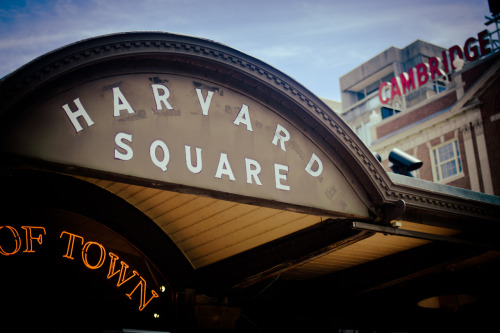Discover Harvard Square in Cambridge, Massachusetts.