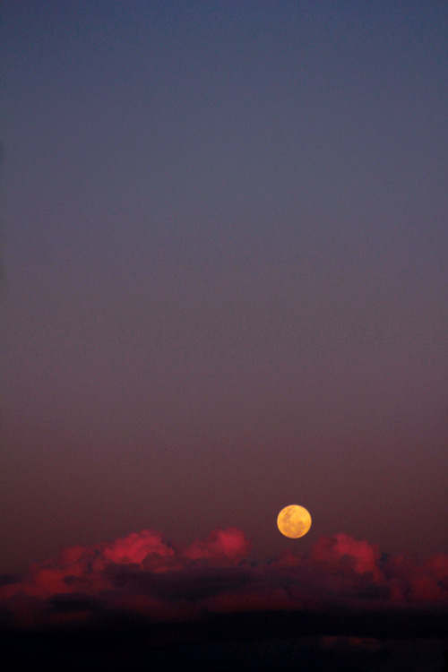 gaksdesigns:  Sleeper
