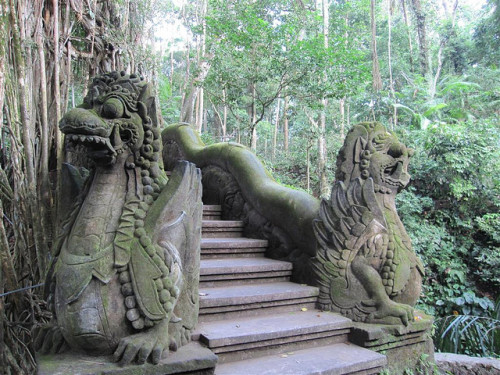 Dragon steps in Sacred Monkey Forest Sanctuary, Bali, Indonesia (by Hyperboy1976).