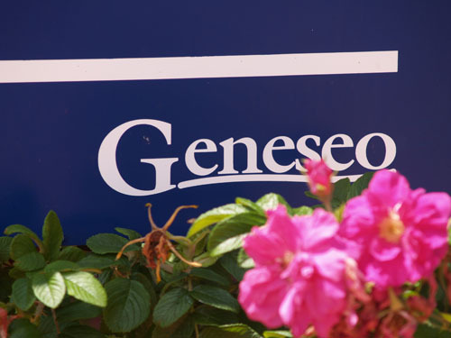 whynotknowmore:  Geneseo. Just sayin’.  we’re pretty cool