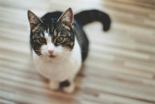 26scriptum:  (by m_paessler)