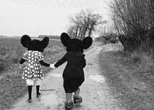 dream more..