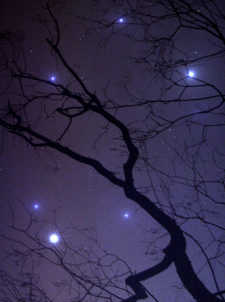 Gravitational Beauty