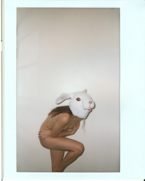 XXX my-rabbits:  Tide land Brooke  photo